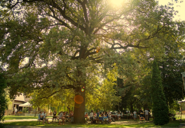 Szabadtéri rendezvényhelyszín