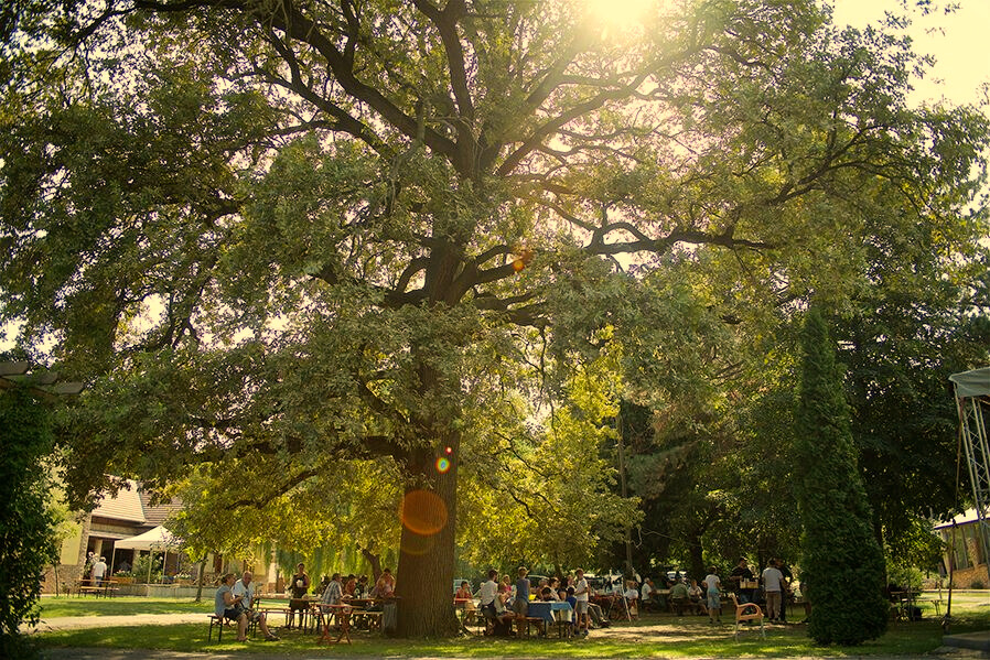Szabadtéri rendezvényhelyszín Szabadtéri rendezvényhelyszín